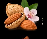 Almond