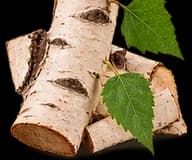 Birch