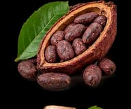 Gourmand Chocolate