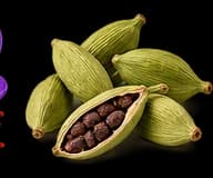 Cardamom