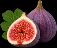 Fig