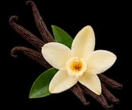 Vanilla